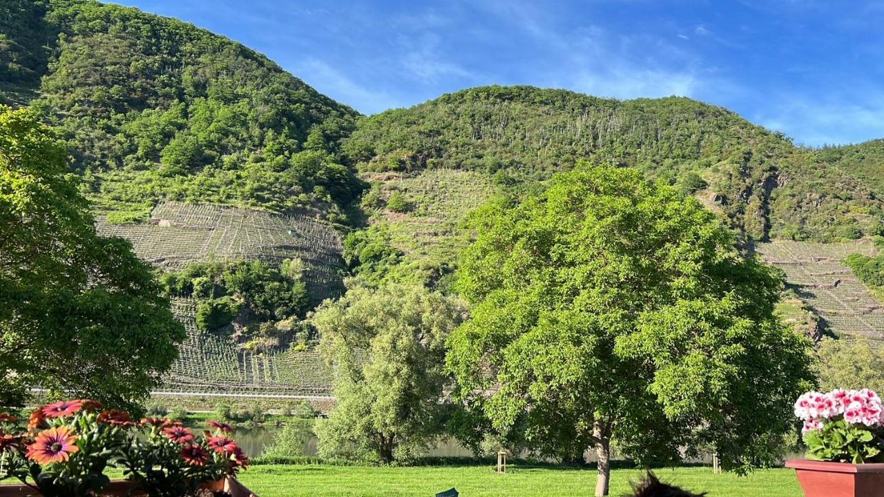 Hotel Zur Winzergenossenschaft Ernst Zewnętrze zdjęcie