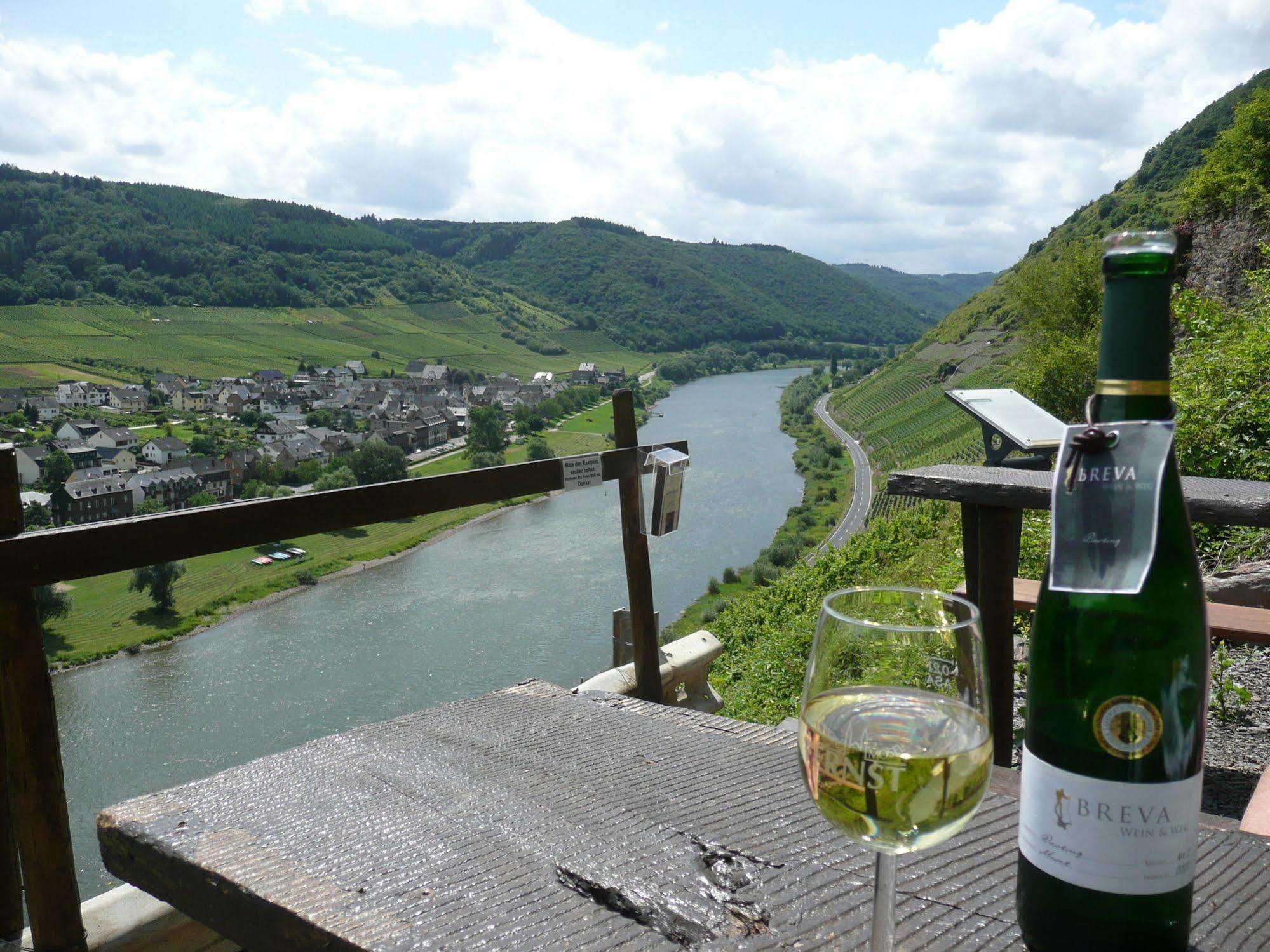 Hotel Zur Winzergenossenschaft Ernst Zewnętrze zdjęcie